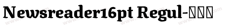 Newsreader16pt Regul字体转换